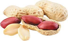 Groundnut Oil